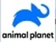 Animal Planet (estados unidos) live